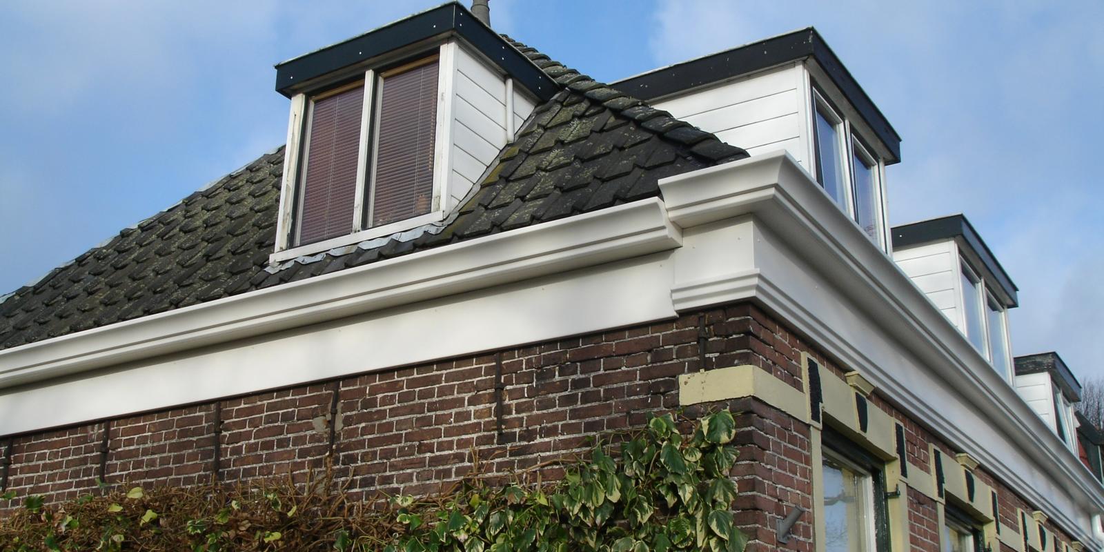 Schoonmaken dakgoot